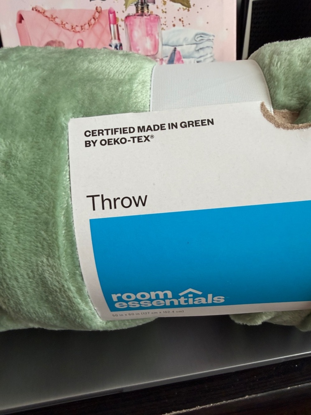 Room Essentials Soft Mint Green Plush Throw Blanket New